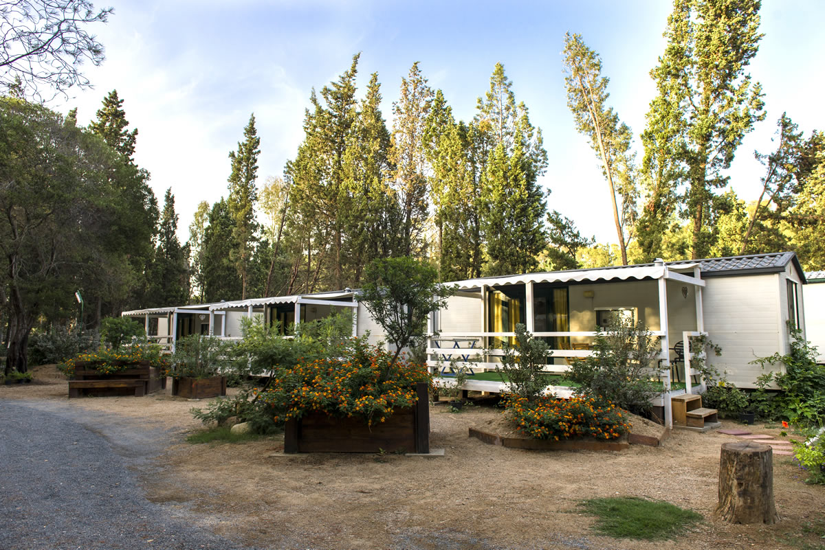 Casa Mobile Basic
